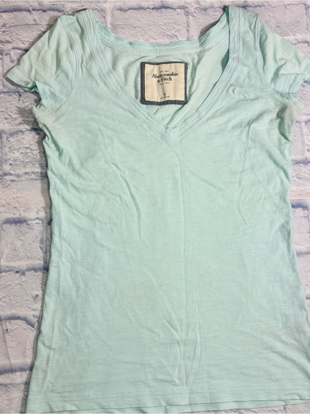 Y2K Abercrombie & Fitch With Moose Logo Teal Short Sleeve Cami Size Medium
